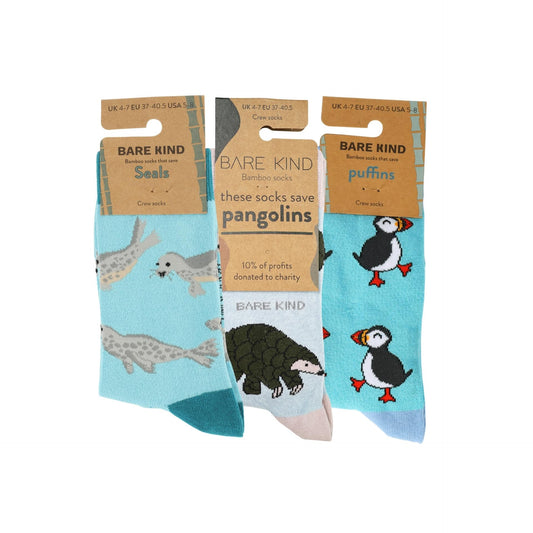 Blue Wonders Bundle of 3