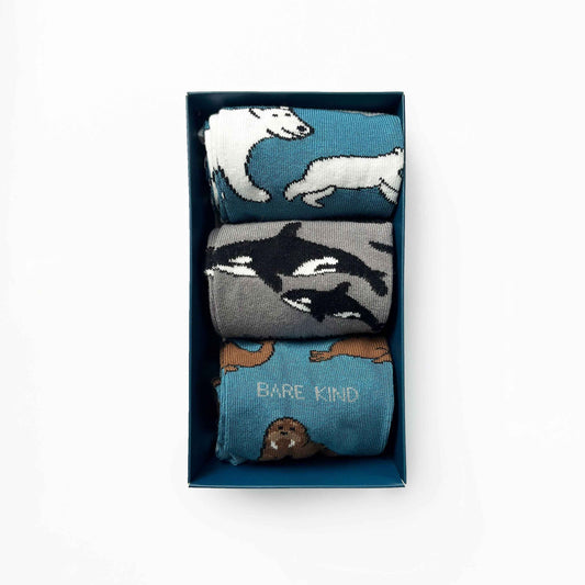 Arctic Animals Bamboo Socks Gift Box of 3