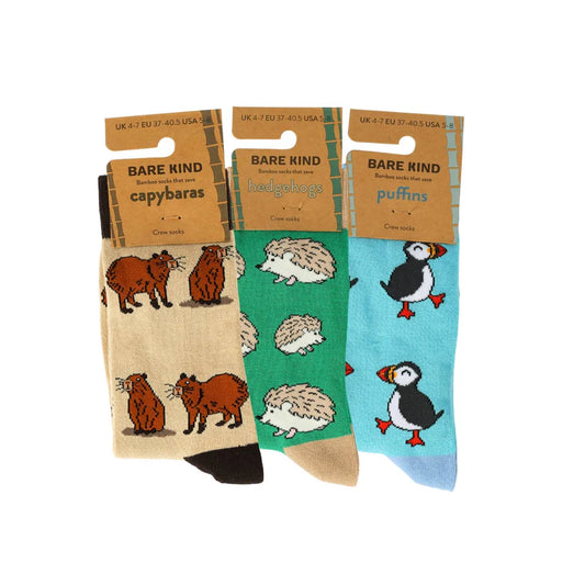 The Ultimate Bestselling Trio Bundle of 3