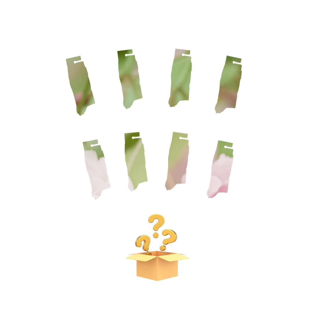 Autumn Mystery Bundle of 8!