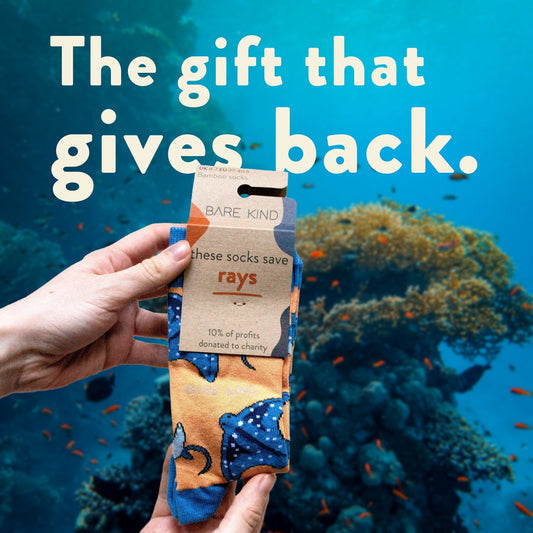 What are eco-friendly Christmas gift ideas?