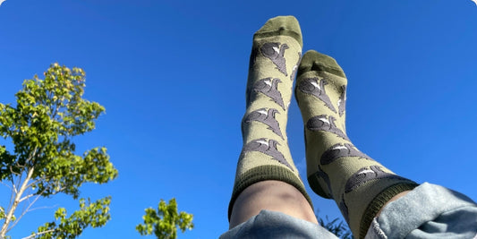 How to Keep Your Feet Happy, Dry and Funk-Free This Summer