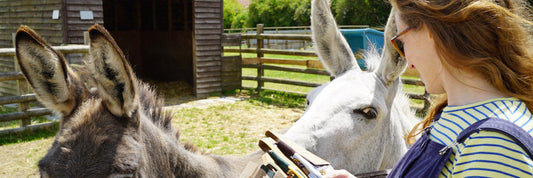 The Farm Animal Sanctuary Visit