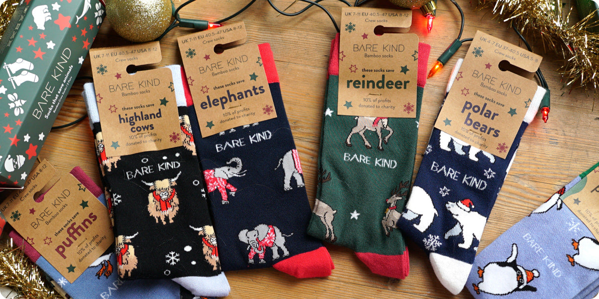 Bare Kind 2026 Christmas Designs