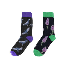 Charcoal Dream Sock Bundle of 2