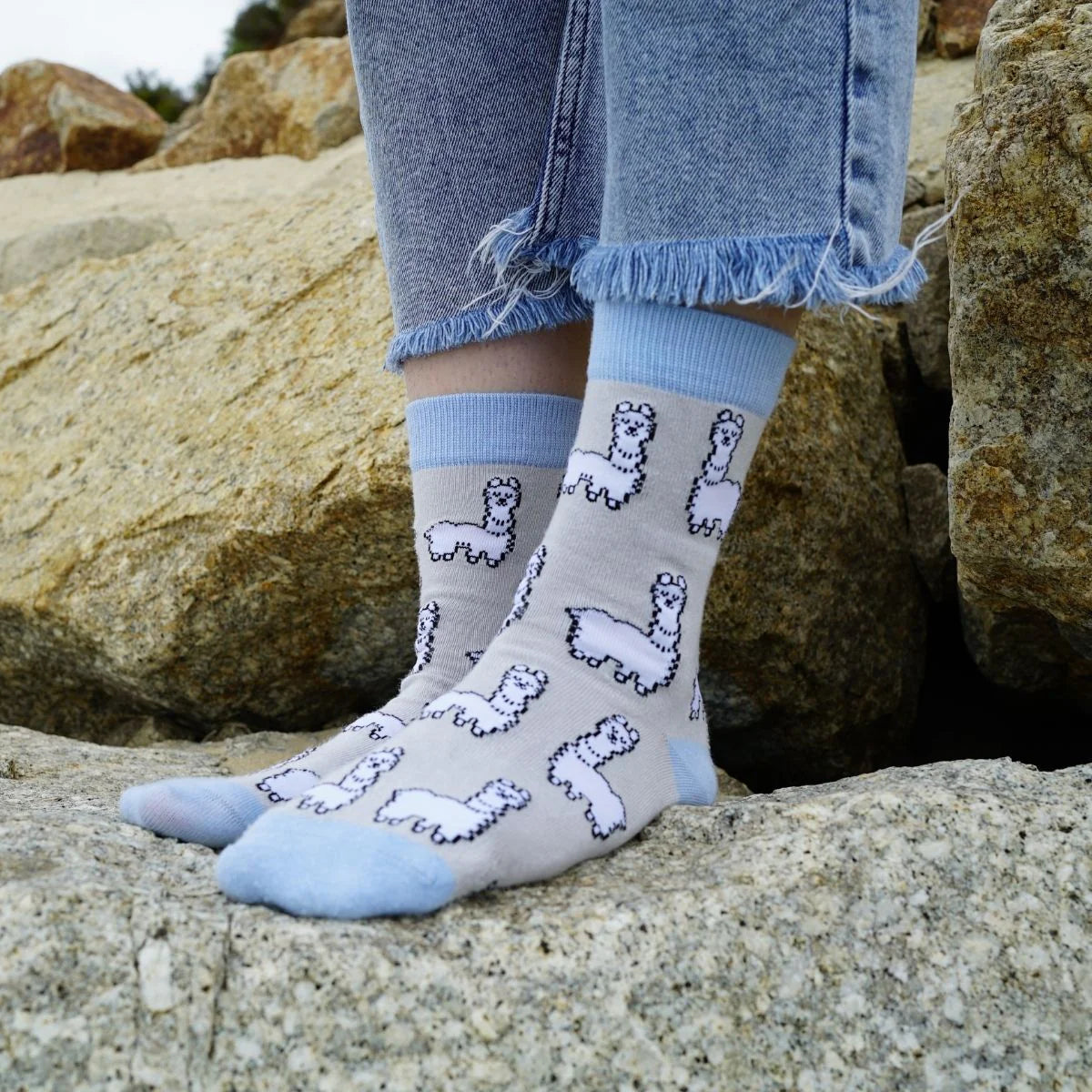 The Gentle Meadow Sock Bundle of 3
