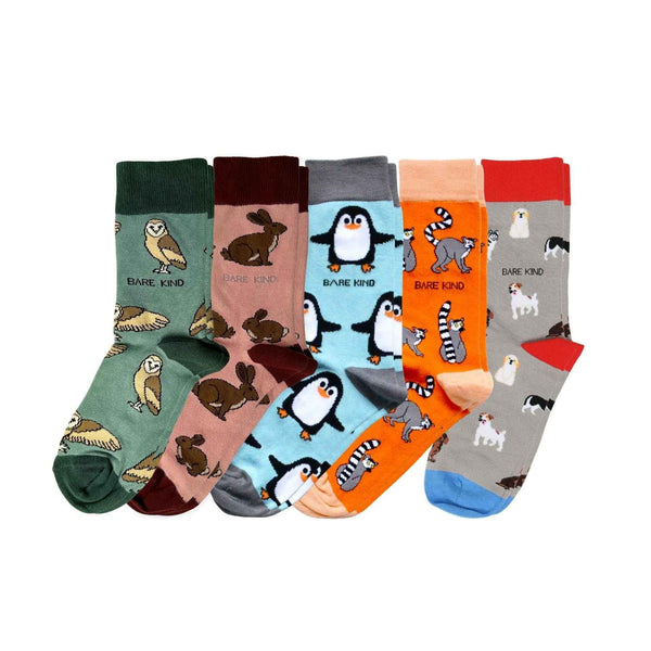 Bestsellers 5 Pack bamboo socks with colorful wildlife designs including barn owl, hare, penguin, lemur, and dogs