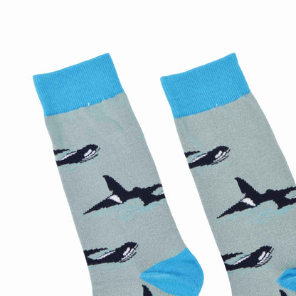Orca & Shark Sock Bundle of 2