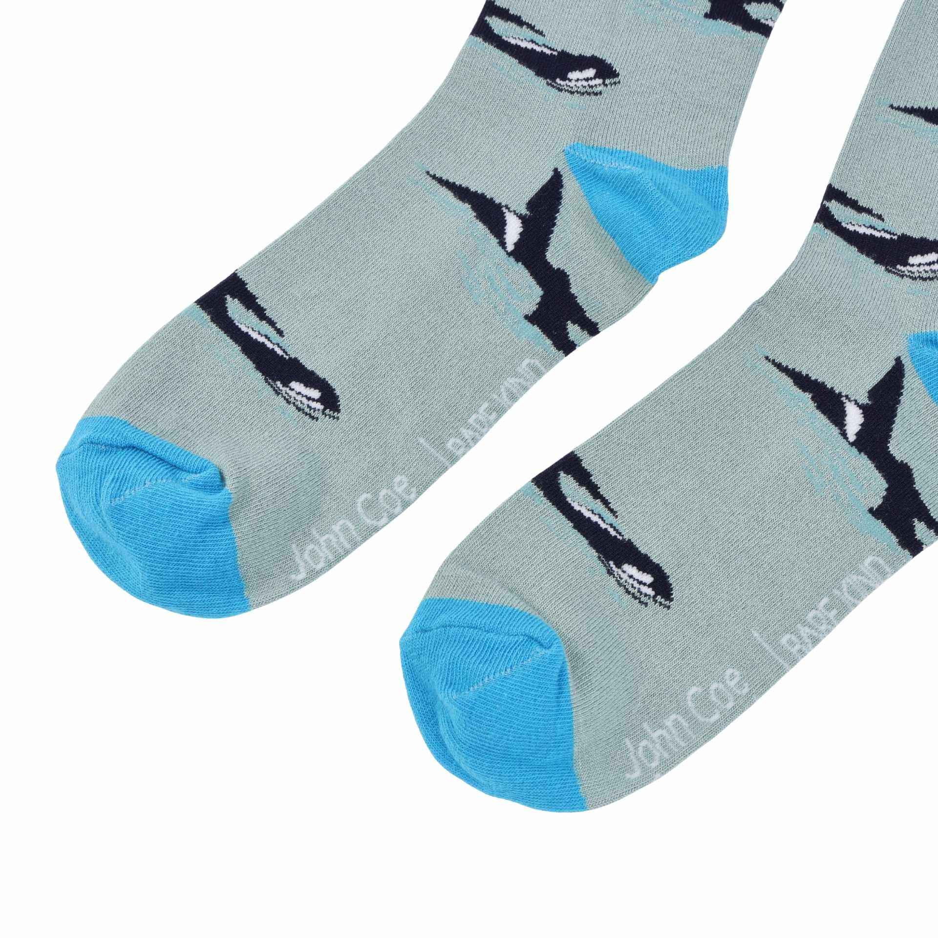 Orca & Shark Sock Bundle of 2