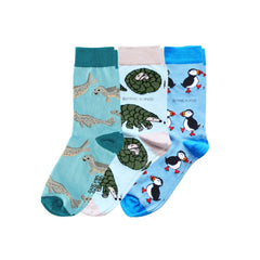 Blue Wonders Bundle of 3