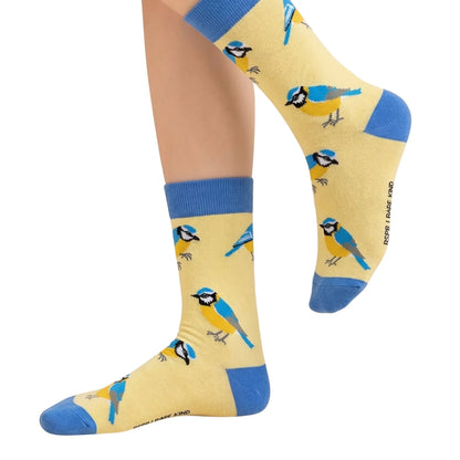 Blue Winged Friends Bundle of 2