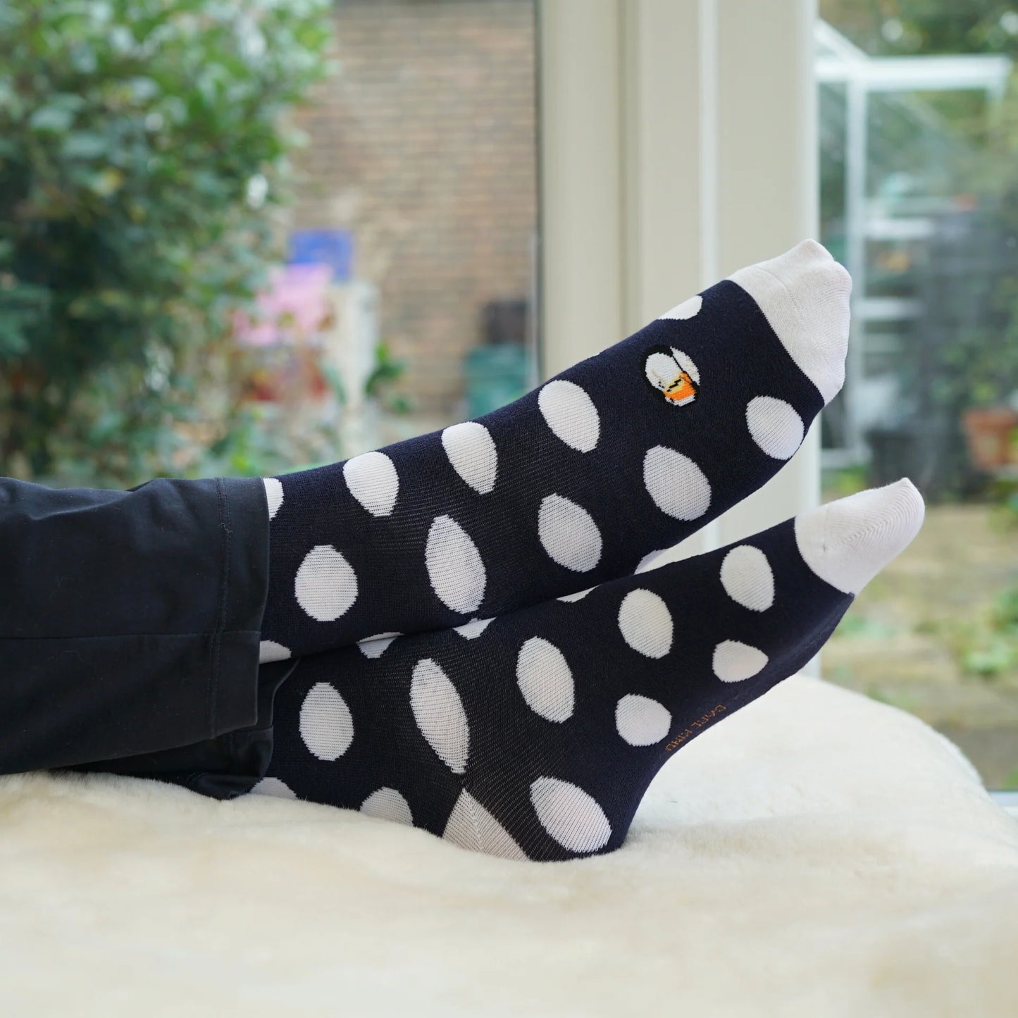 Midnight Sock Bundle of 4