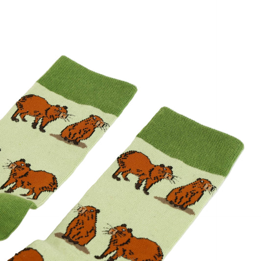 Pair of  green capybara bamboo socks on a white background