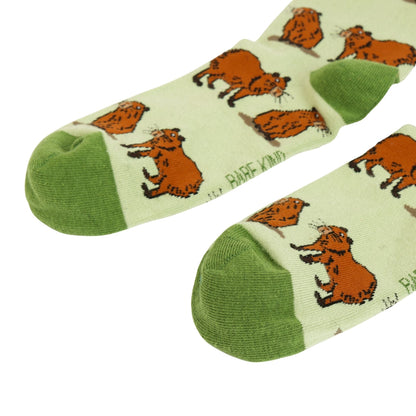 Capybara Lover Bundle of 2