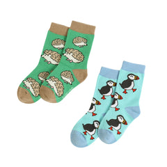 Kid’s Hedgehog and Puffin Bundle of 2