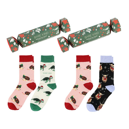 Hedgehog Christmas Cracker Bundle of 2