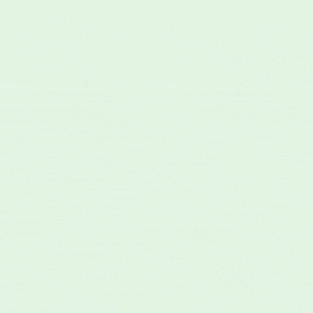 green hedgehog socks gif