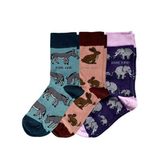 Large Earred Wonders Bundle of 3