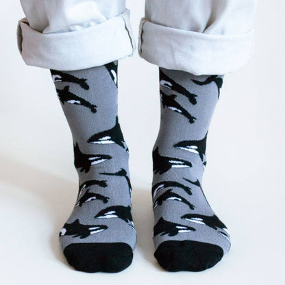 Gray socks with black shark pattern worn by a person on a white background