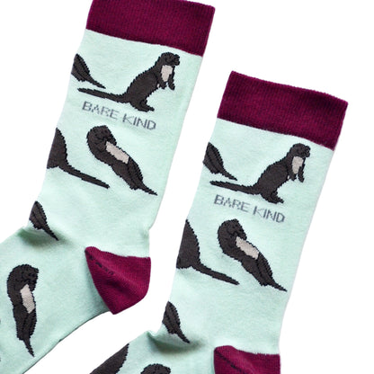 The Fast Swimming Mammals Bundle of 3