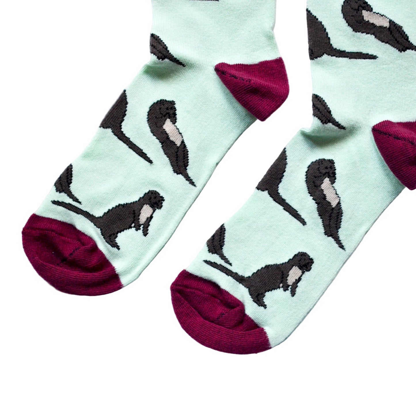 The Fast Swimming Mammals Bundle of 3