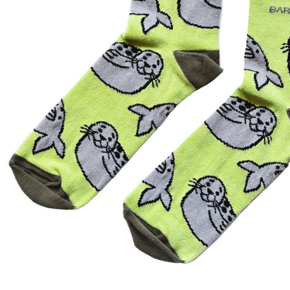 Seal Lover Bundle of 2