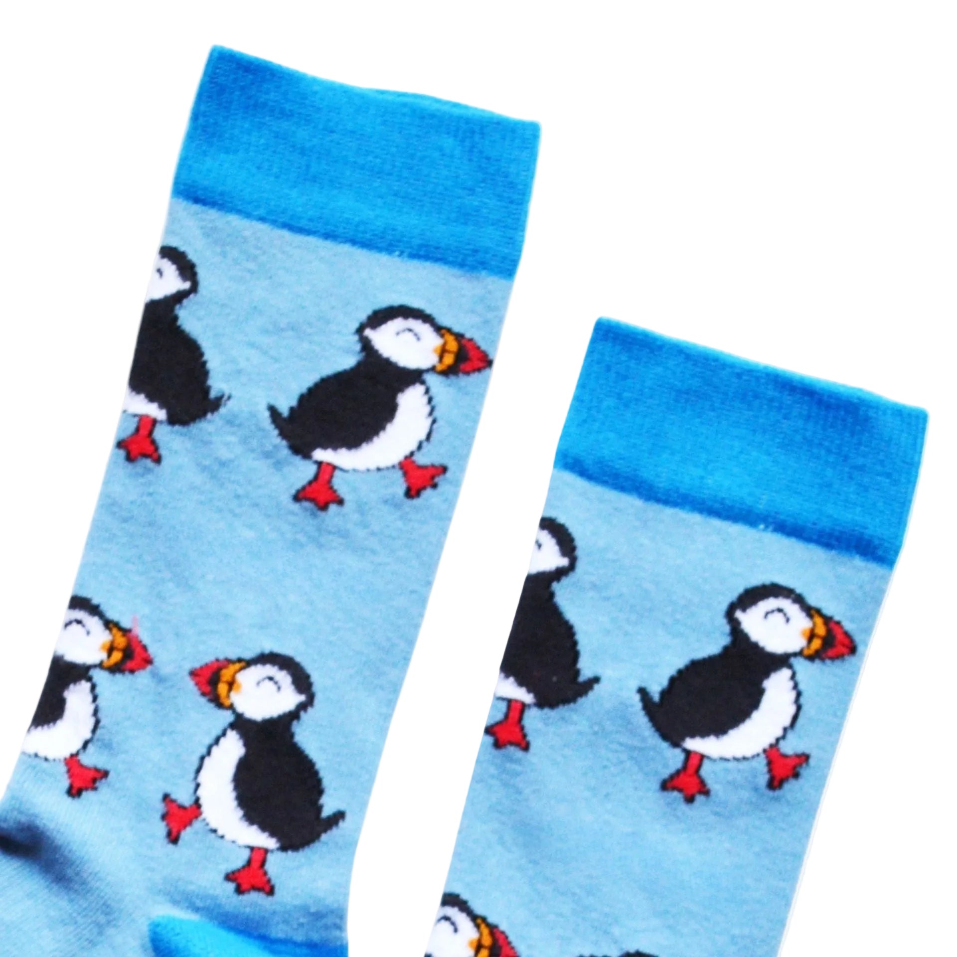 flat lay of blue puffin socks