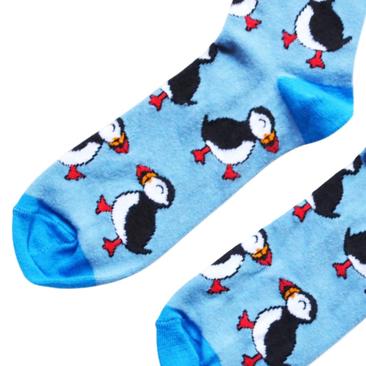 flat lay of blue puffin socks