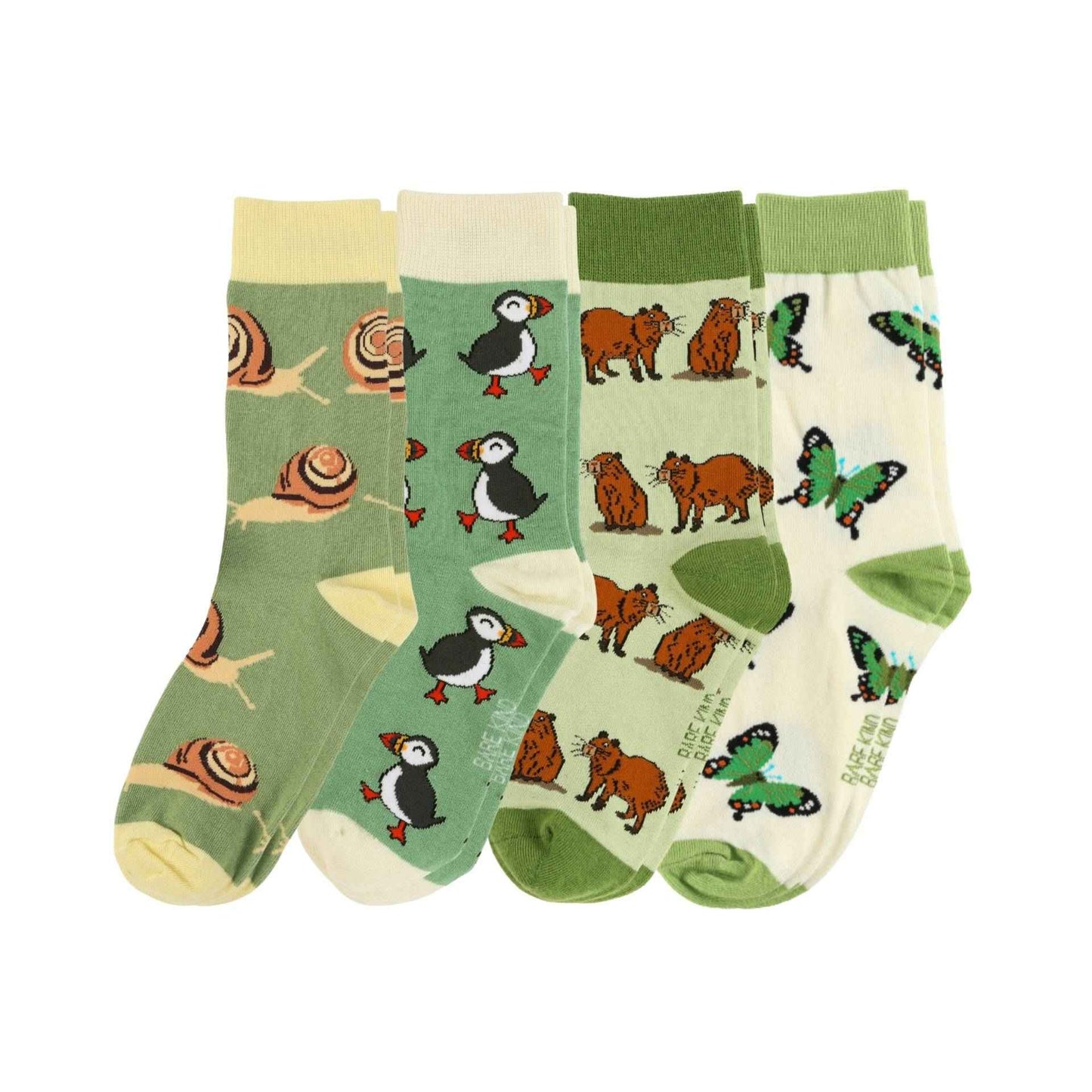 The Evergreen Bundle of 4