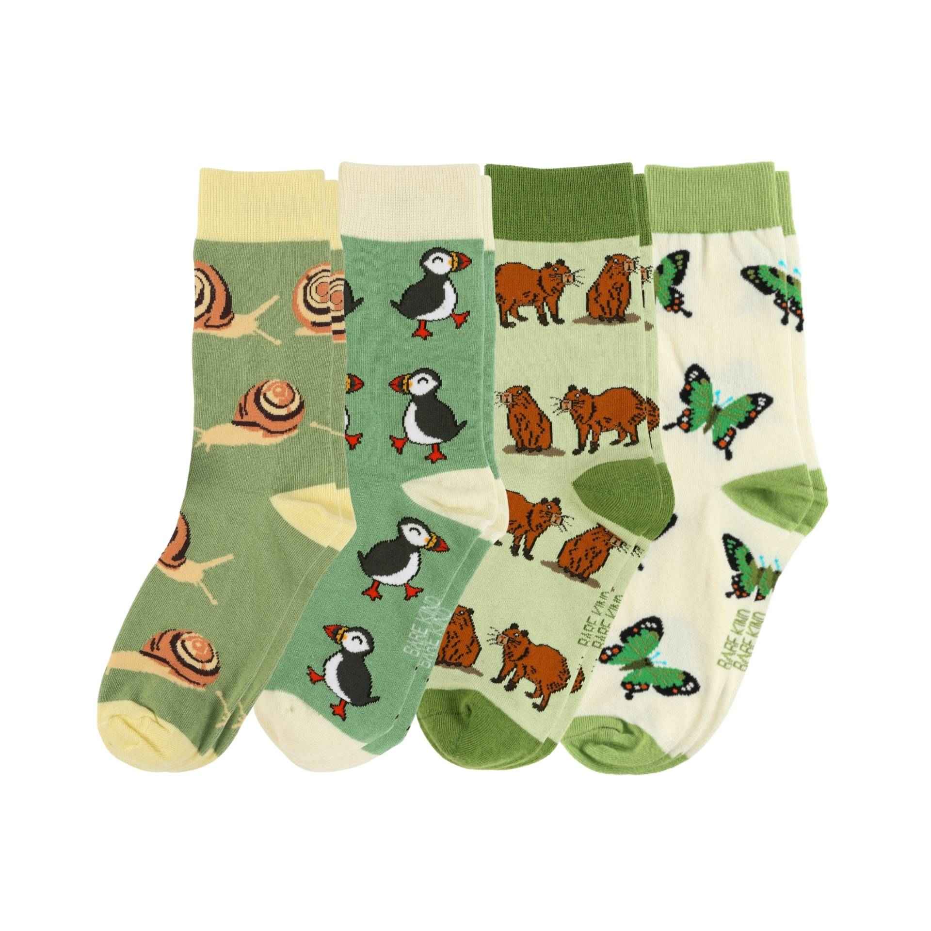 The Evergreen Bundle of 4