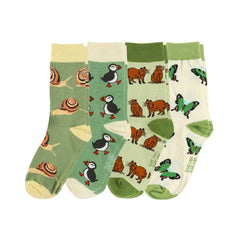 The Evergreen Bundle of 4