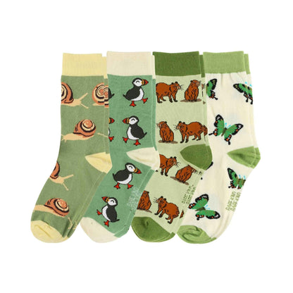 The Evergreen Bundle of 4
