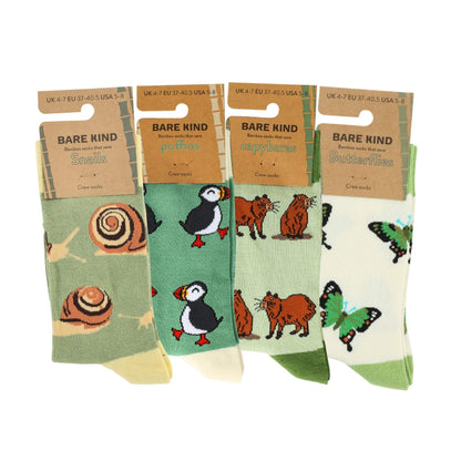 The Evergreen Bundle of 4