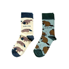 The Paddle Tail Duo Bundle of 2