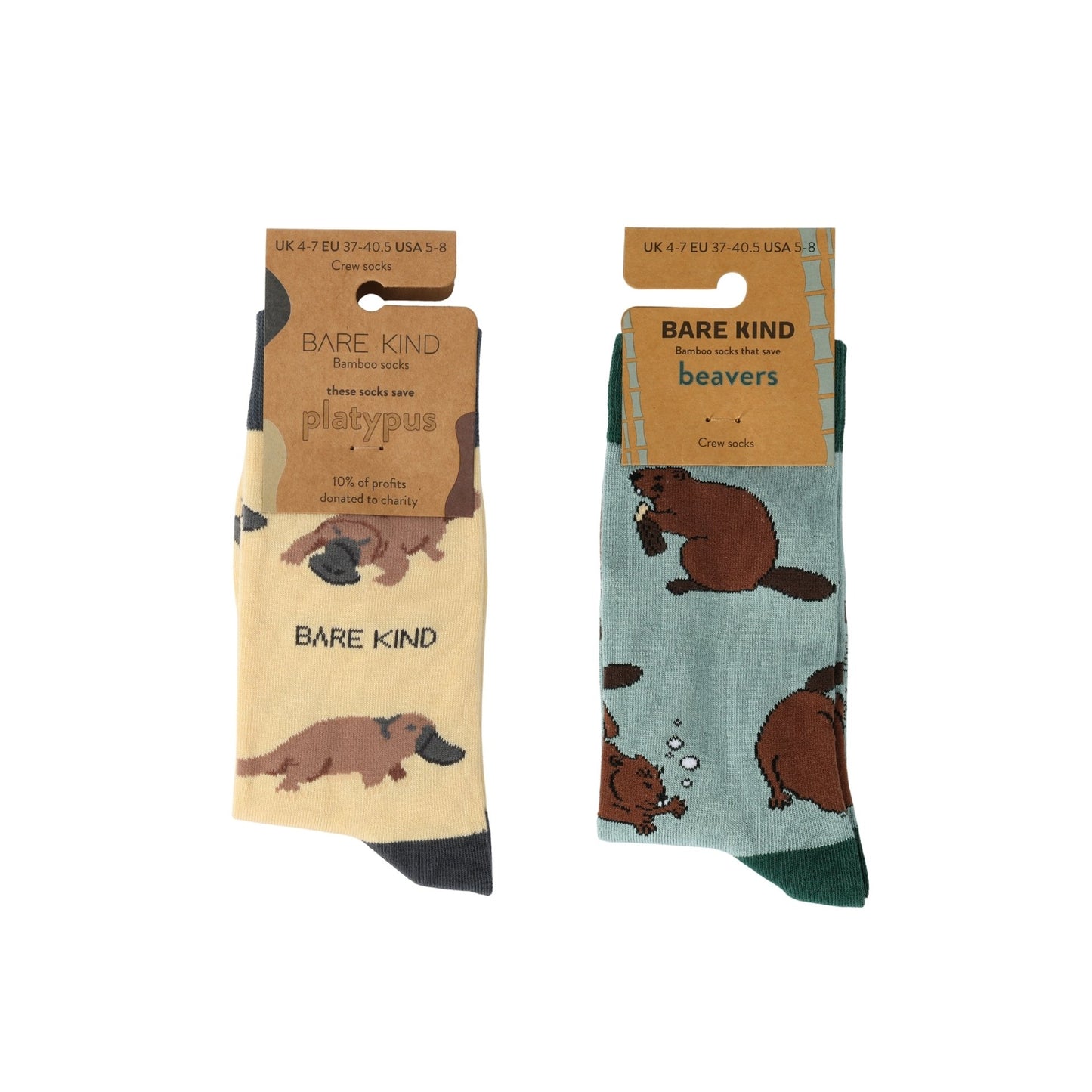 The Paddle Tail Duo Bundle of 2
