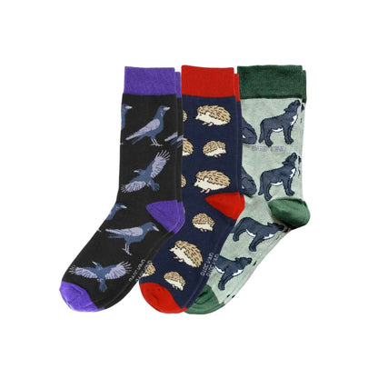 Dark Forest Sock Bundle of 3