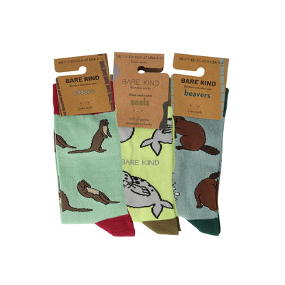 Aquatic Bundle of 3