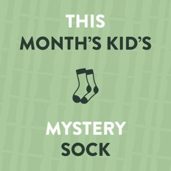 This Month's Kid's Mystery Sock