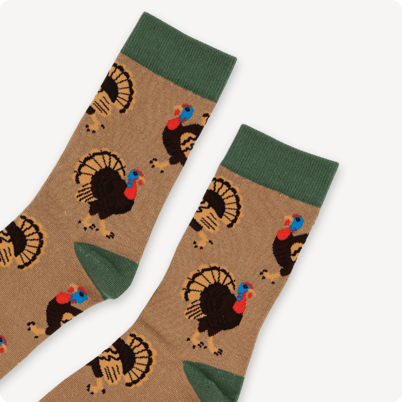 Summer to Autumn Bundle of 2