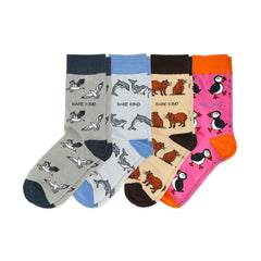 Animal Antics socks 4-pack featuring capybara, seagulls, dolphins, and puffins made from bamboo