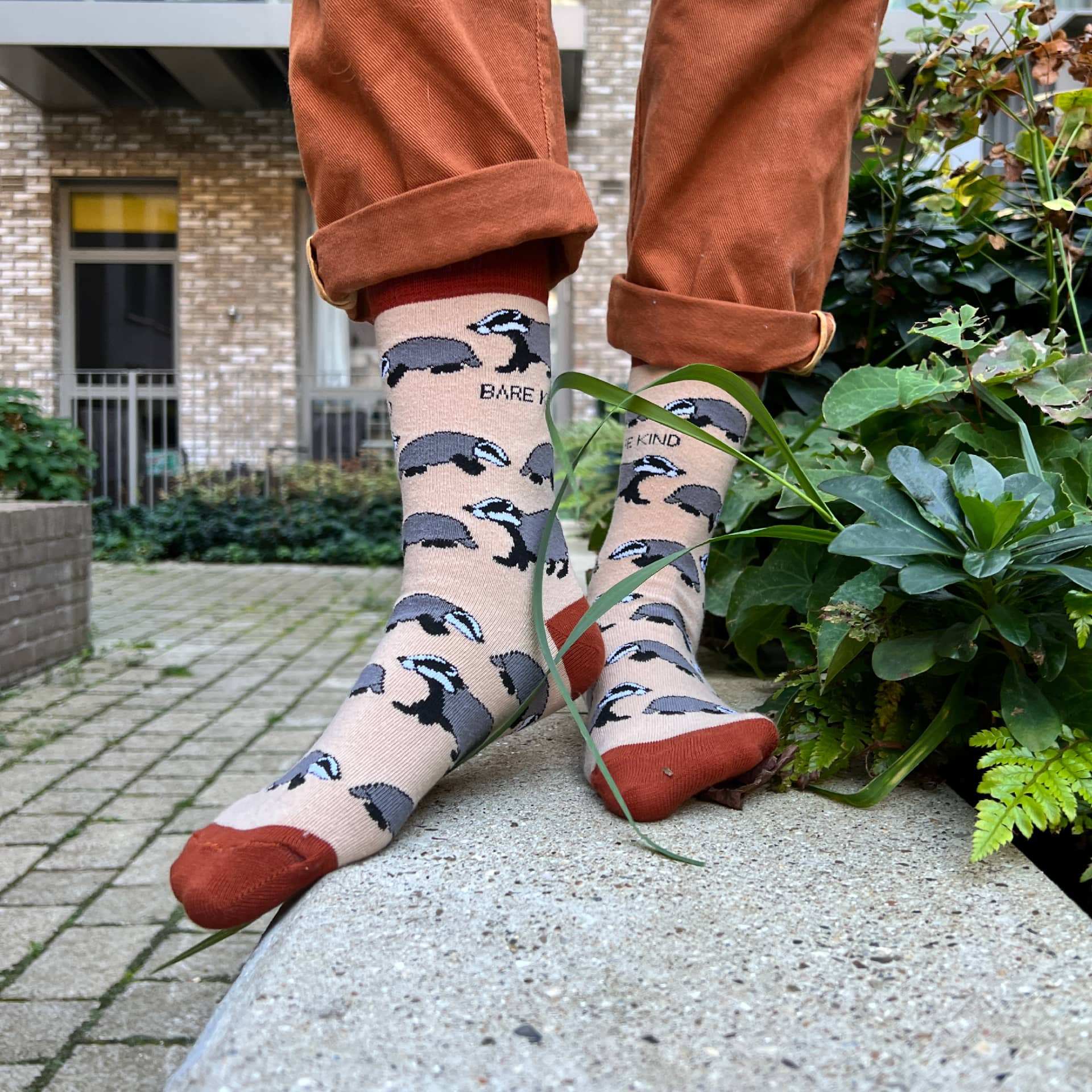 Badger Socks - Save the Badgers Bamboo Socks for Animal Lovers