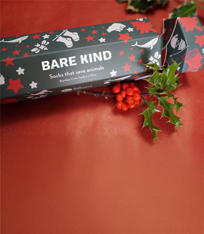 Bare Kind christmas gift box