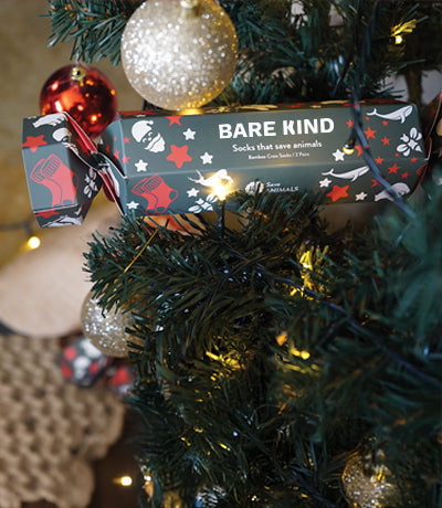 Bare Kind christmas gift box