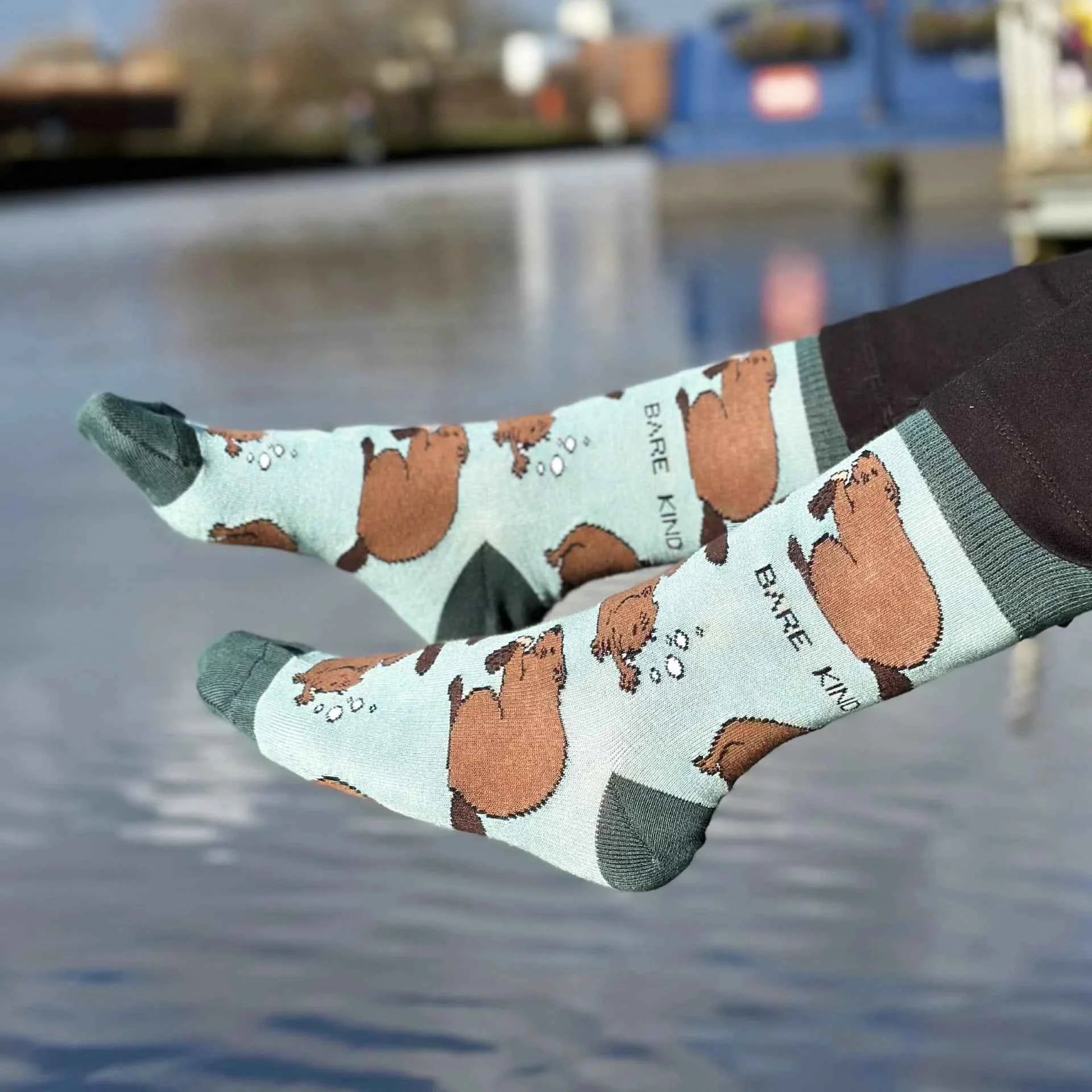 Animal Kingdom Bundle of 6
