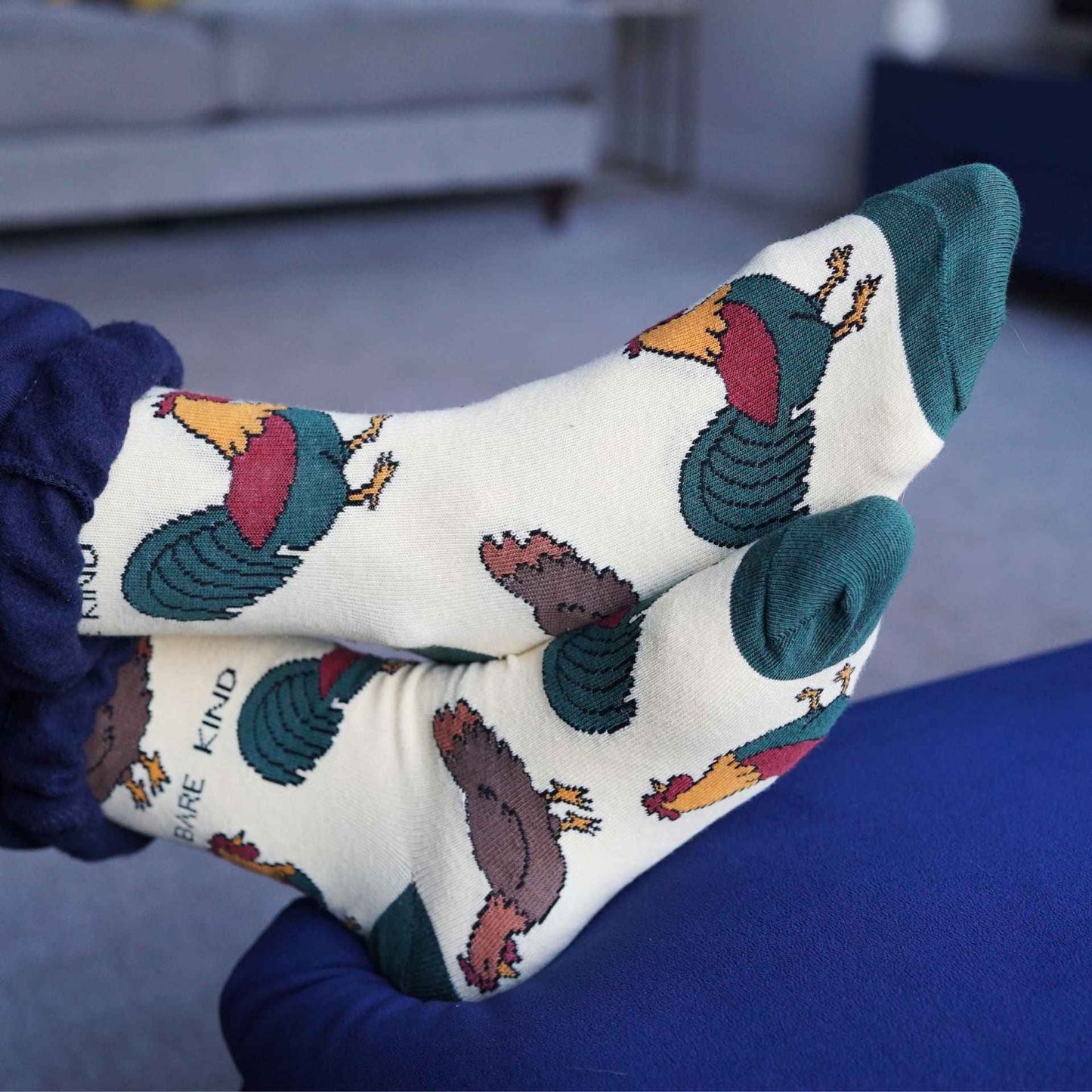 The Brown Bird Bundle