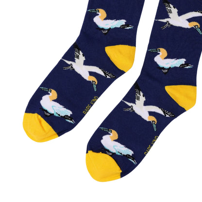 Blue Winged Friends Bundle of 2