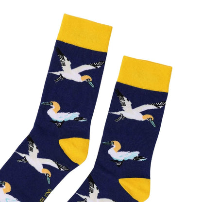 Blue Winged Friends Bundle of 2