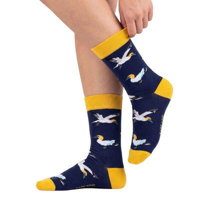 Blue Winged Friends Bundle of 2