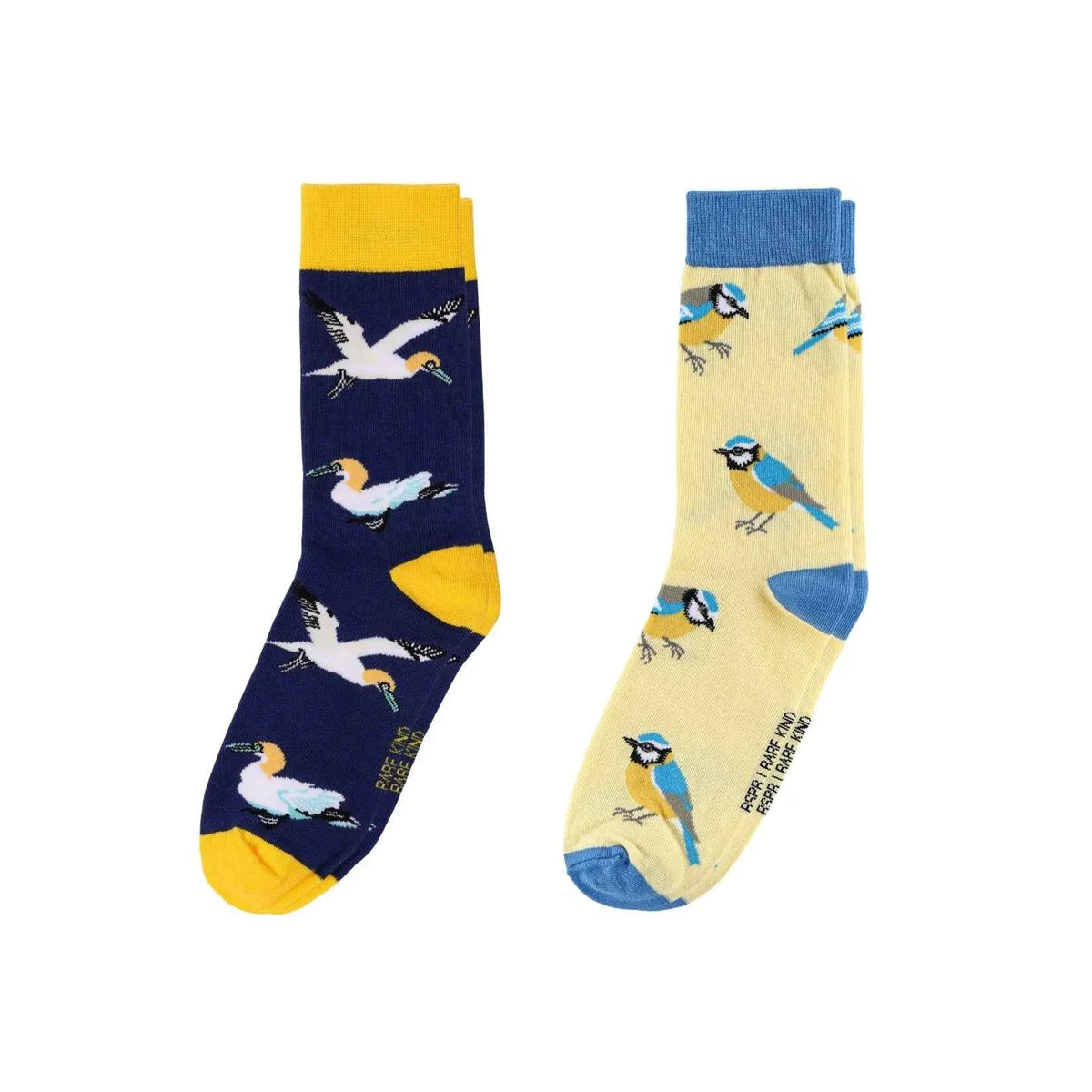 Blue Winged Friends Bundle of 2