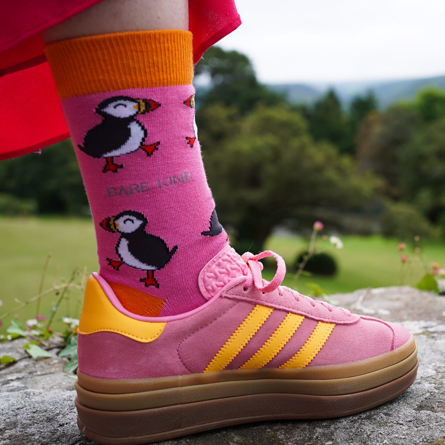 The Puffin 4 Pack Bamboo Sock Set
